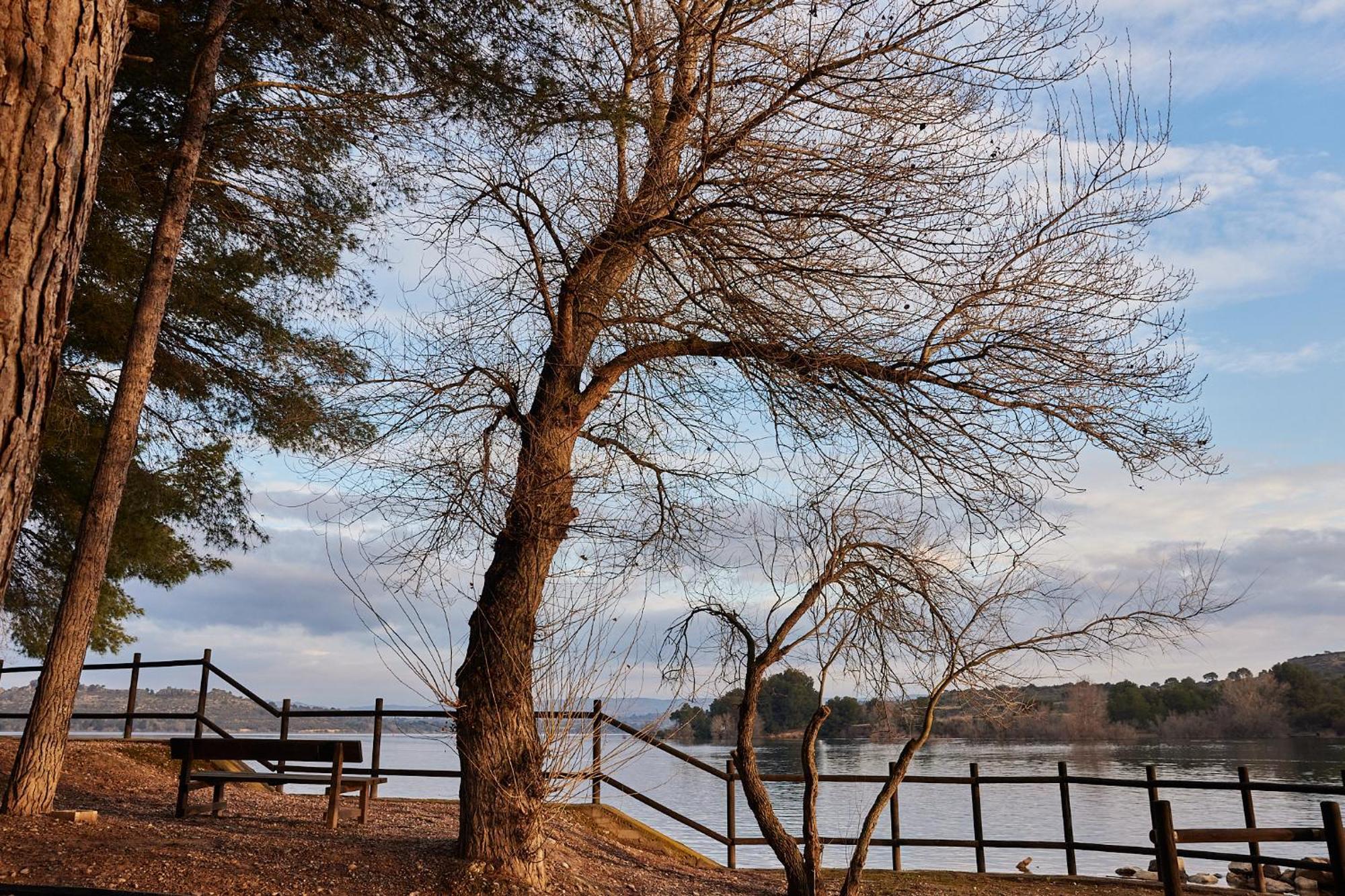 Taiga Lake Caspe Bagian luar foto